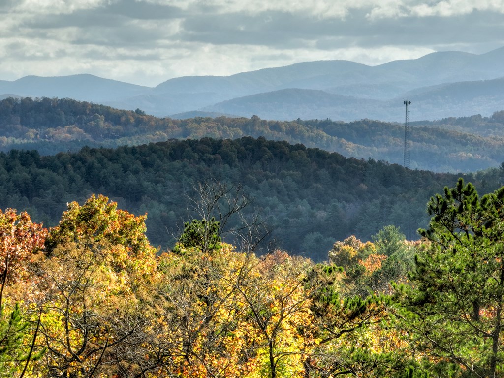 1030 Bear Mountain Pass Property Photo 61
