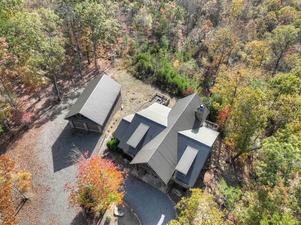 1030 Bear Mountain Pass Property Photo 66