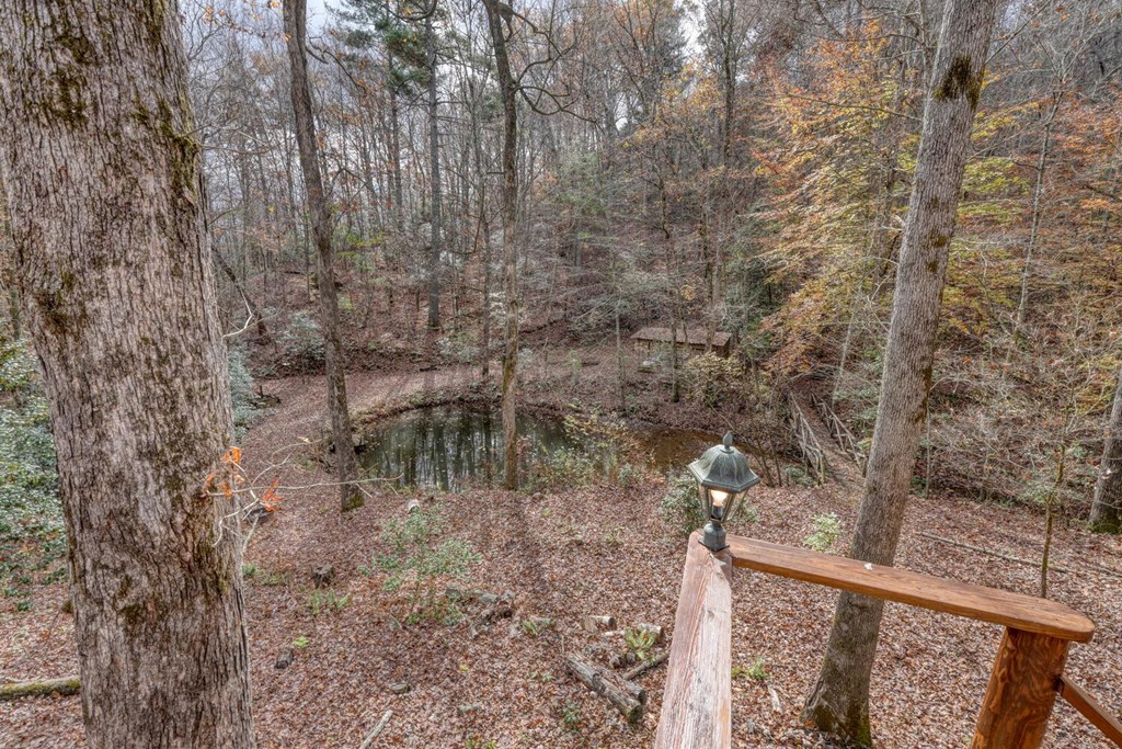2479 Plum Orchard Road Property Photo 36