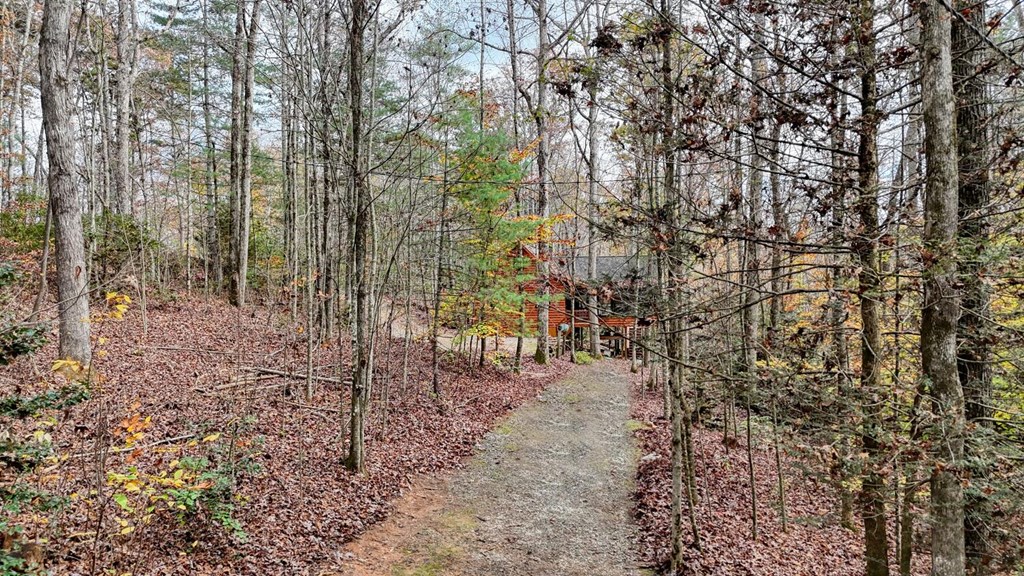 2479 Plum Orchard Road Property Photo 38