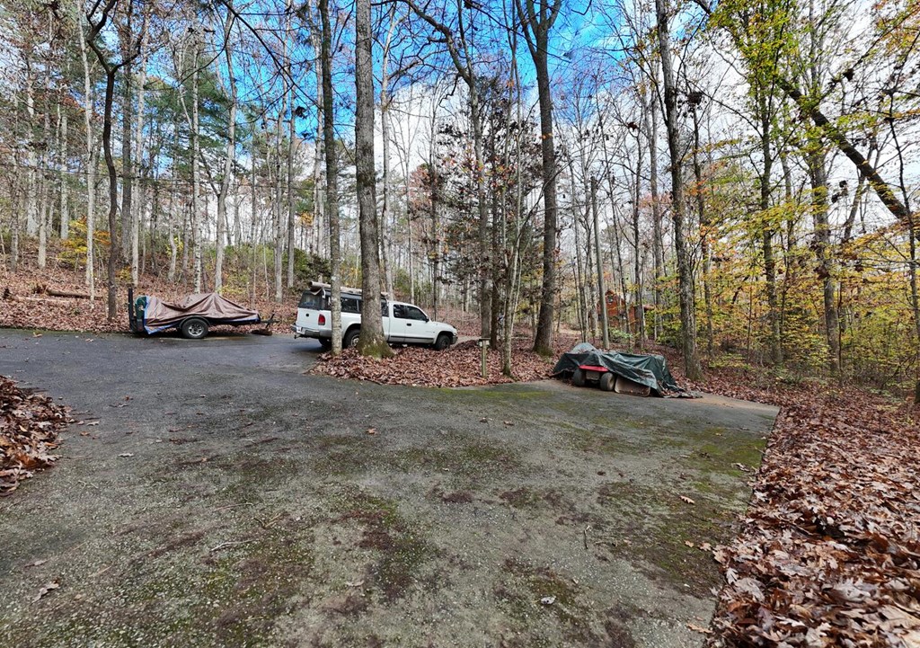 2479 Plum Orchard Road Property Photo 39