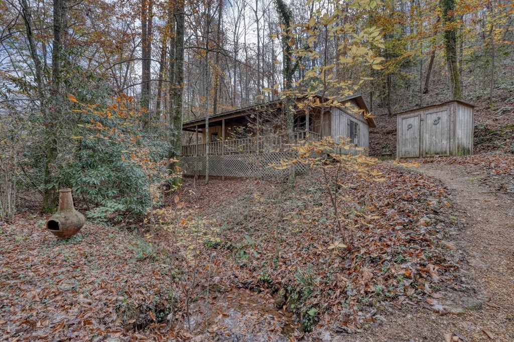 2479 Plum Orchard Road Property Photo 60