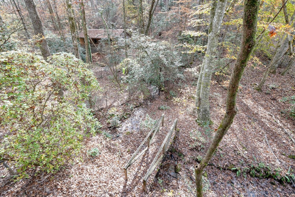 2479 Plum Orchard Road Property Photo 79
