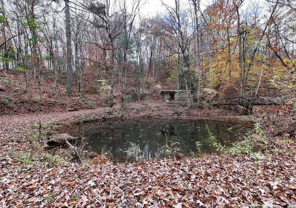 2479 Plum Orchard Road Property Photo 90