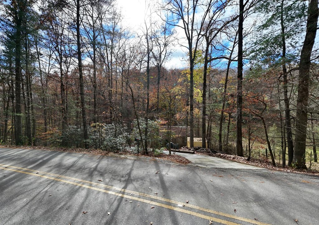 2479 Plum Orchard Road Property Photo 91