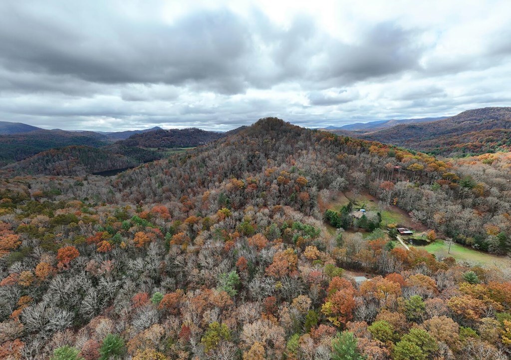 2479 Plum Orchard Road Property Photo 95