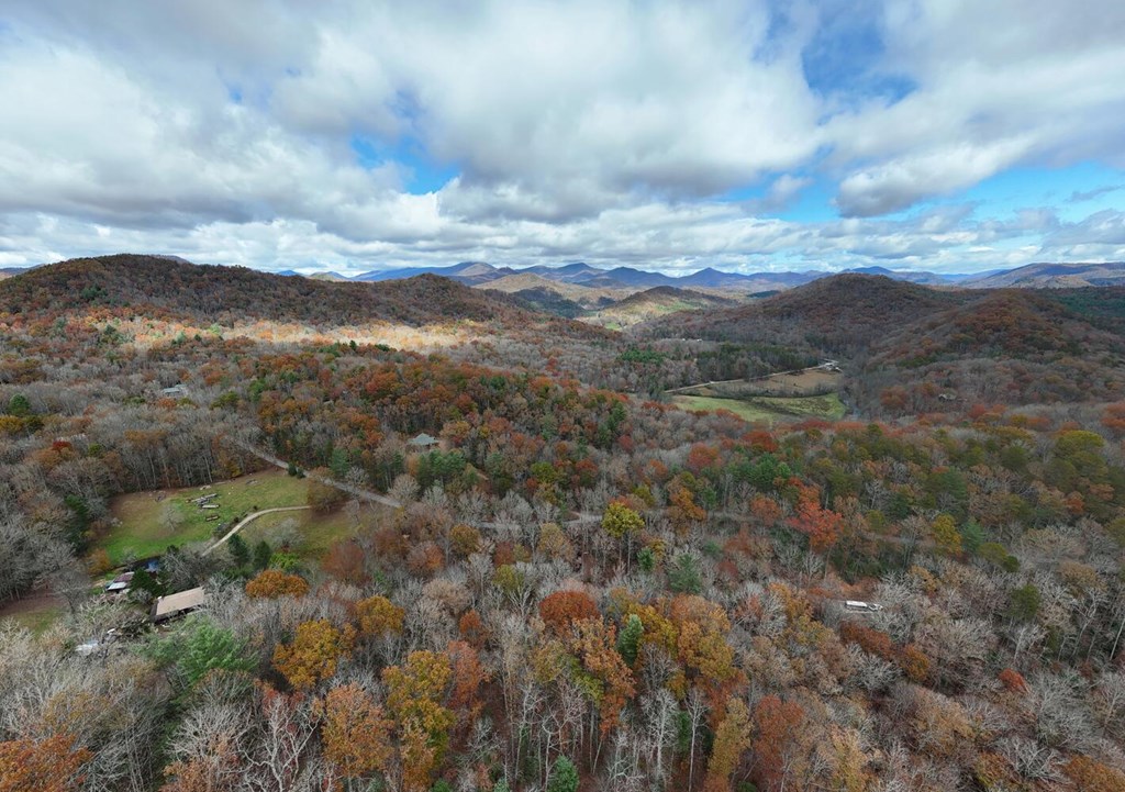 2479 Plum Orchard Road Property Photo 97