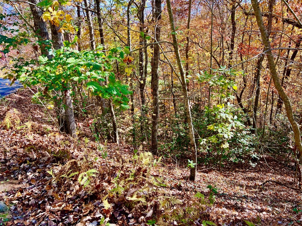 13 Up The Ridge Road Property Photo 2