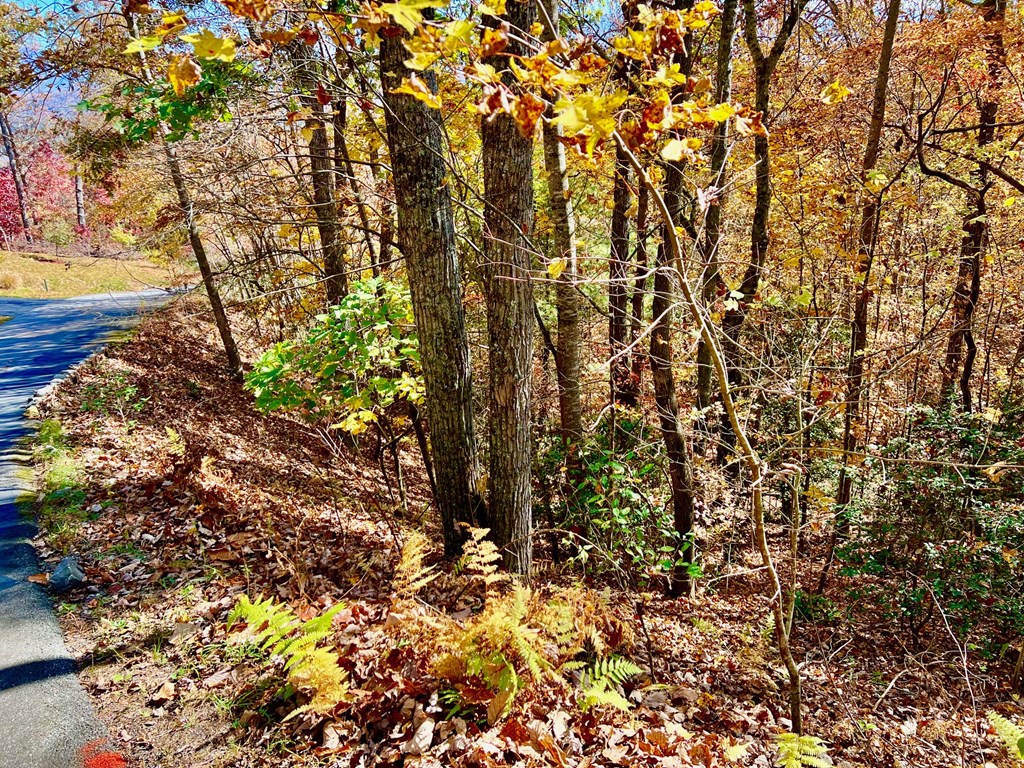 13 Up The Ridge Road Property Photo 3