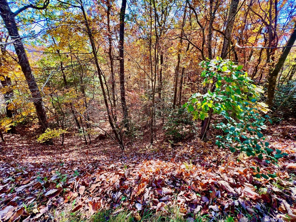 13 Up The Ridge Road Property Photo 4