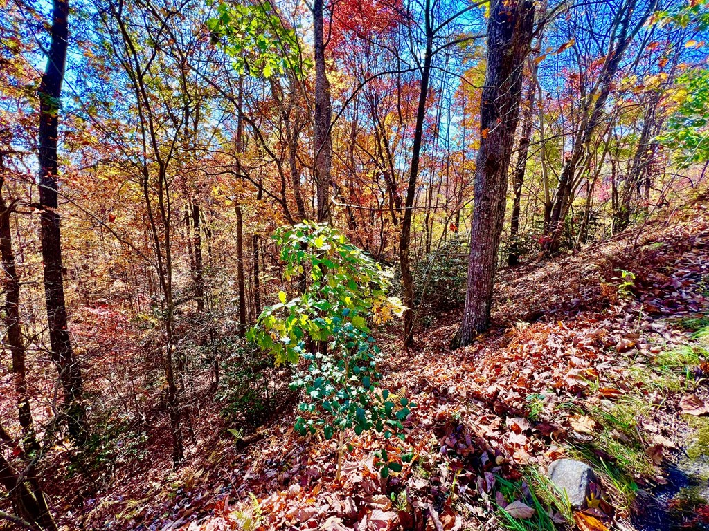 13 Up The Ridge Road Property Photo 5