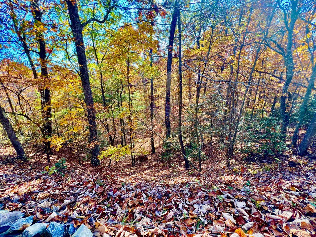 13 Up The Ridge Road Property Photo 6