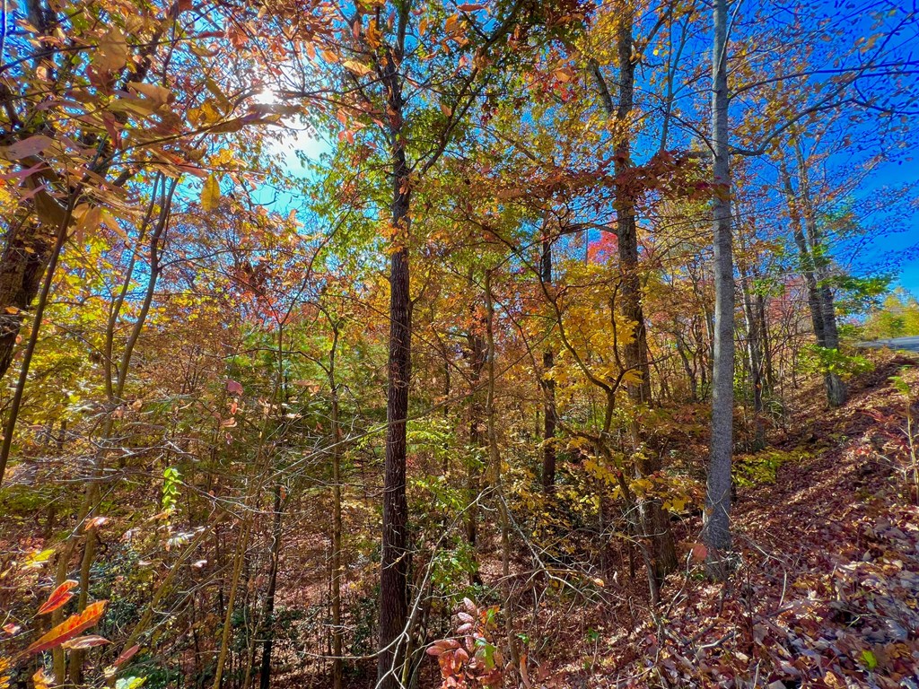 13 Up The Ridge Road Property Photo 10