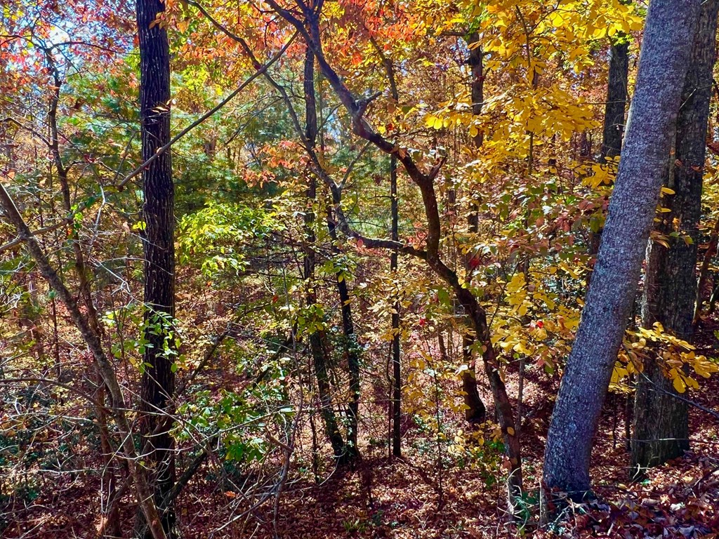 13 Up The Ridge Road Property Photo 11