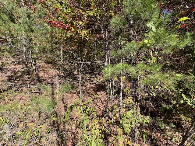 Tbd Upper Peachtree Road Property Photo 11