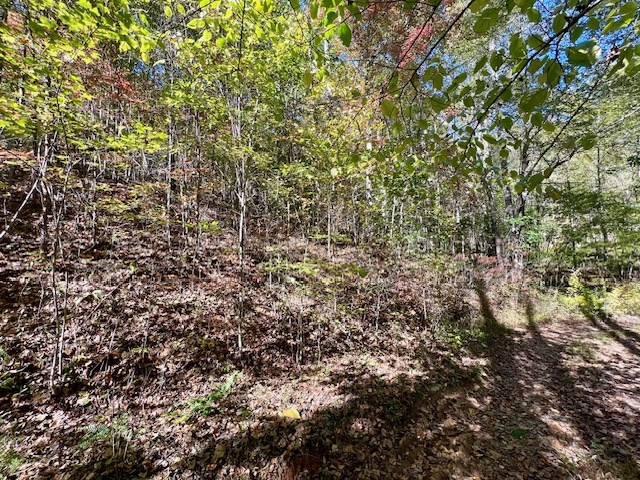 Tbd Upper Peachtree Road Property Photo 15