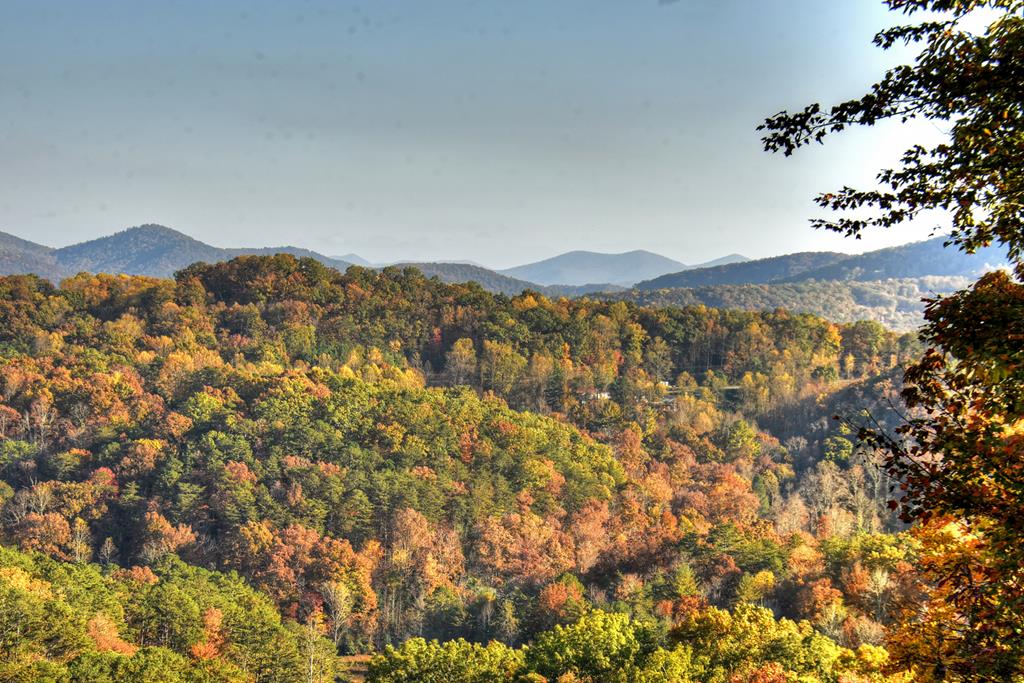 392 Eagles Nest Mountain Road Property Photo 58