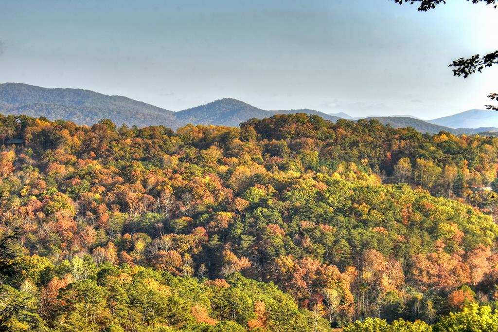 392 Eagles Nest Mountain Road Property Photo 59
