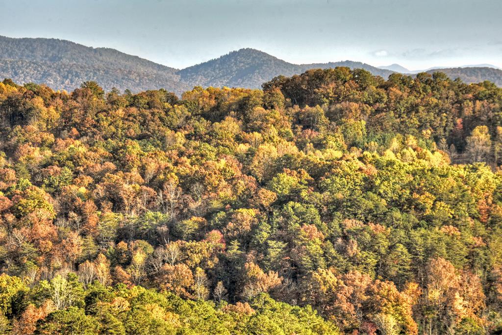 392 Eagles Nest Mountain Road Property Photo 60
