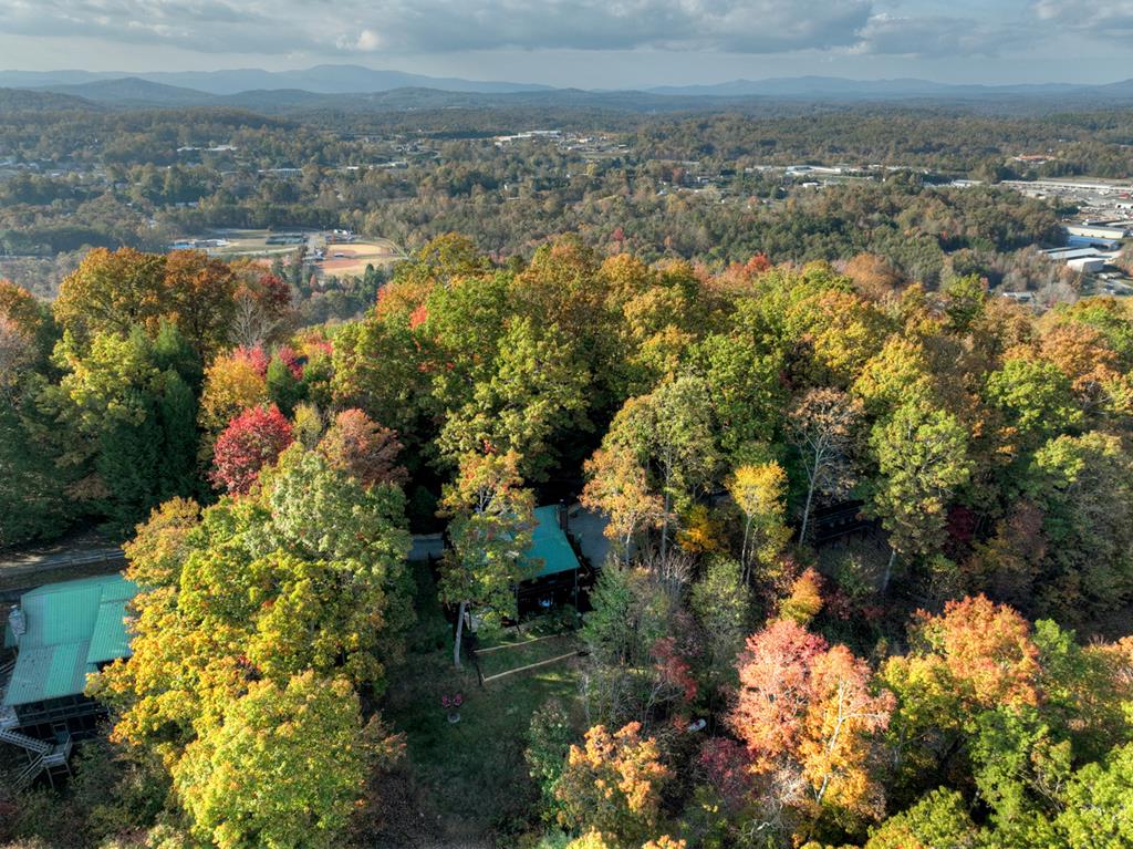392 Eagles Nest Mountain Road Property Photo 61