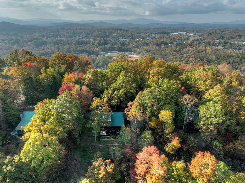 392 Eagles Nest Mountain Road Property Photo 62