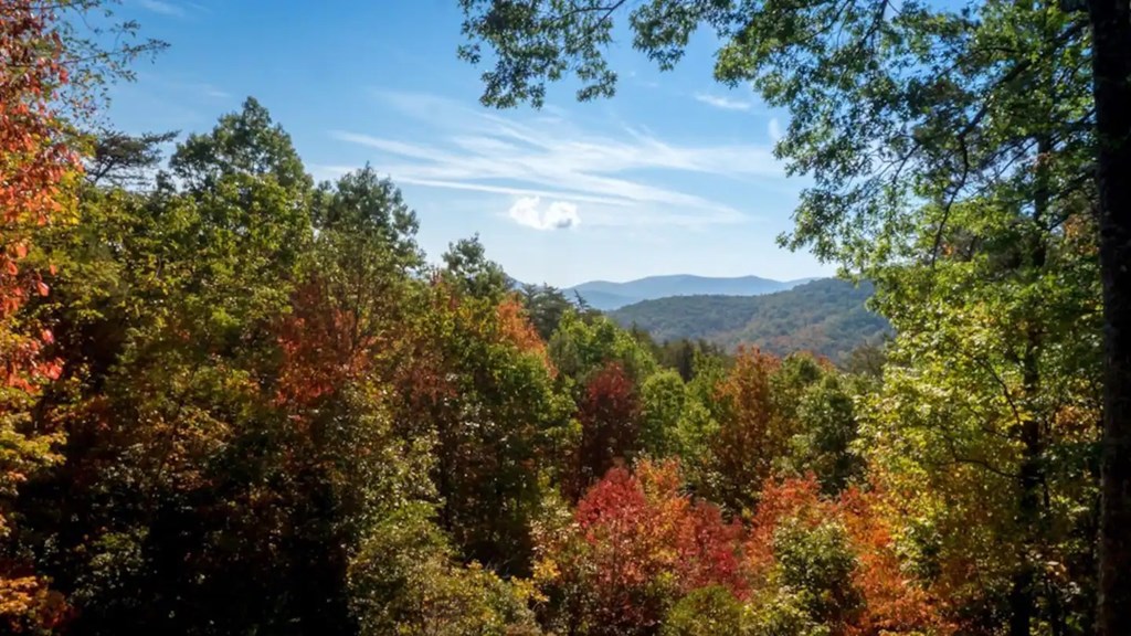 587 Lower Prince Mountain Road Property Photo 2