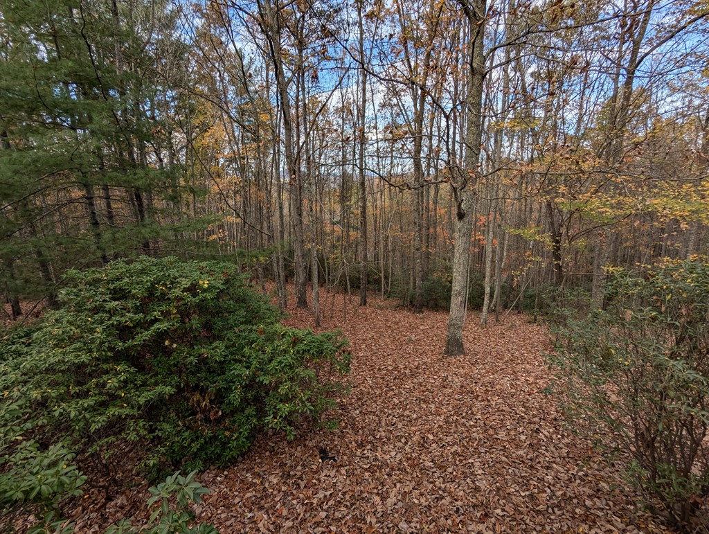 84 Knights Way Property Photo 14