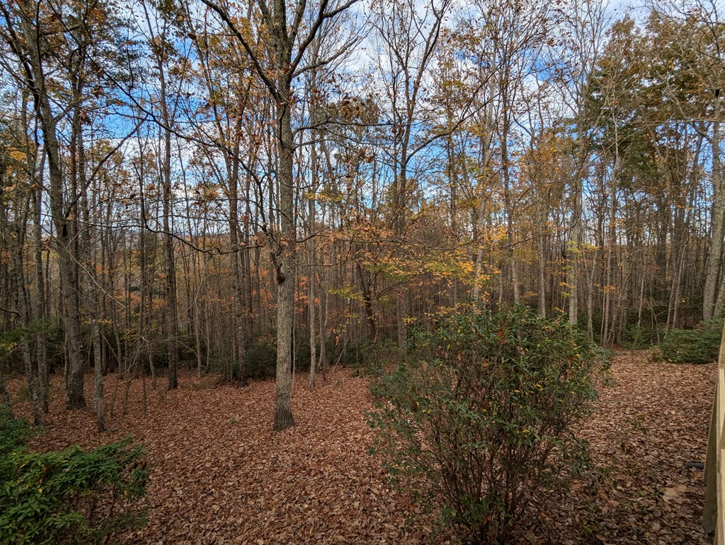 84 Knights Way Property Photo 20
