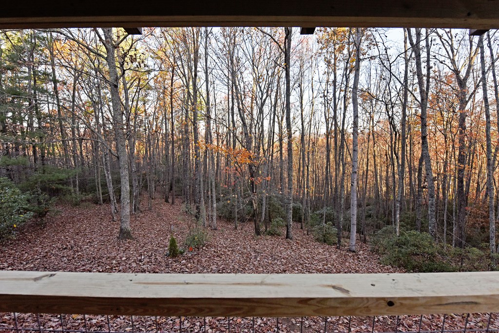 84 Knights Way Property Photo 28