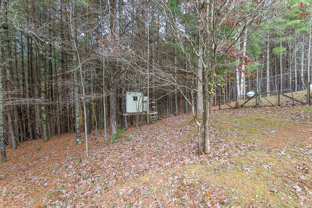 2257 Trout Cove Road Property Photo 58
