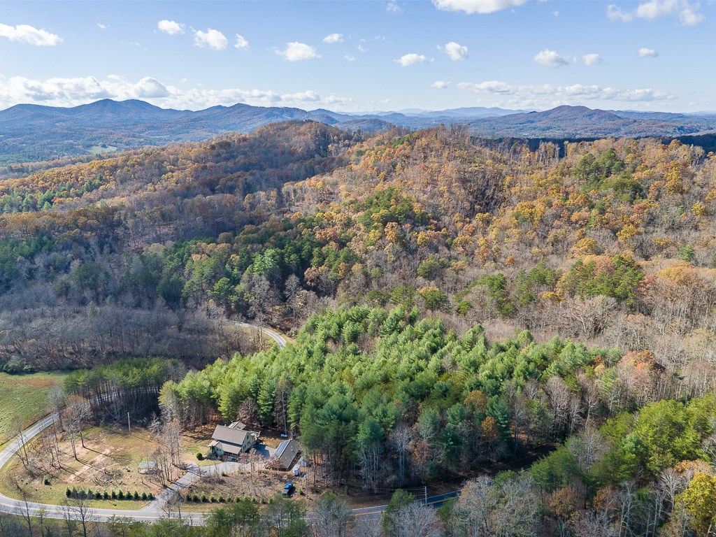 2257 Trout Cove Road Property Photo 67