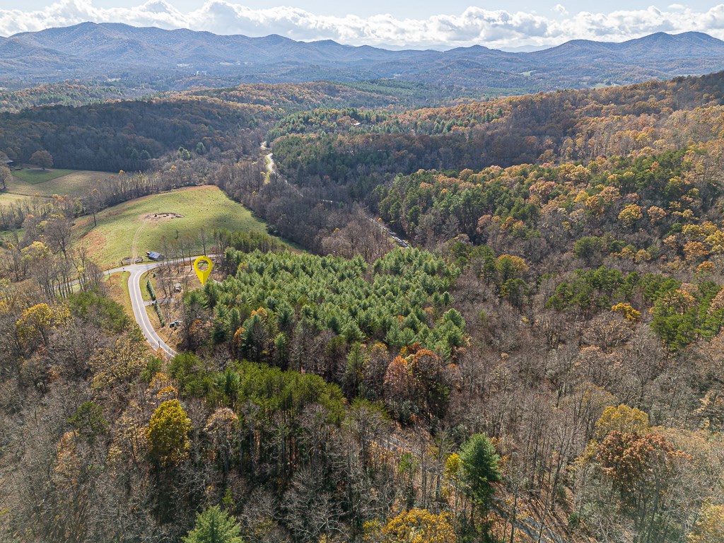 2257 Trout Cove Road Property Photo 68