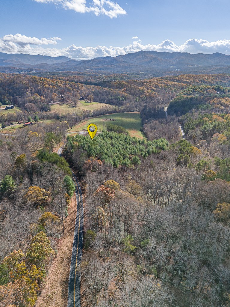 2257 Trout Cove Road Property Photo 69