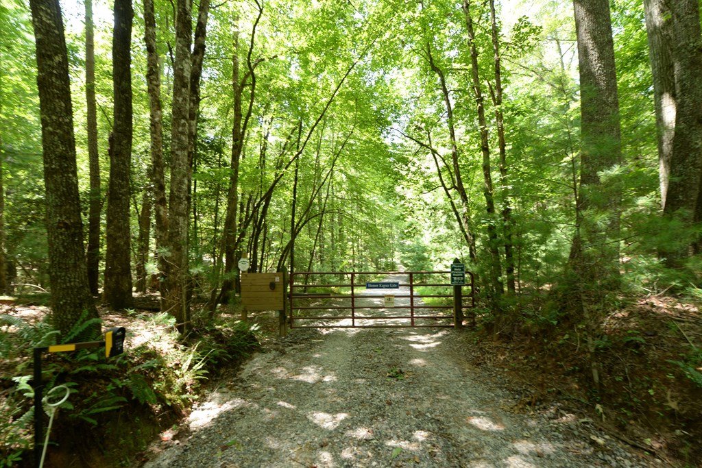 890 Mountain Lake Circle Property Photo 38