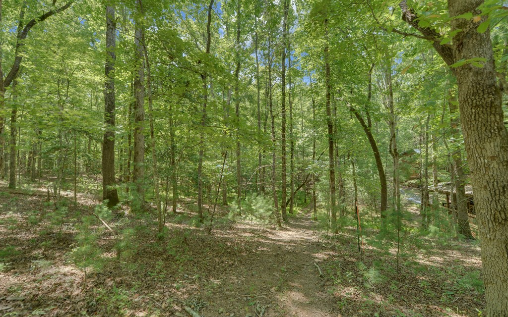 890 Mountain Lake Circle Property Photo 39