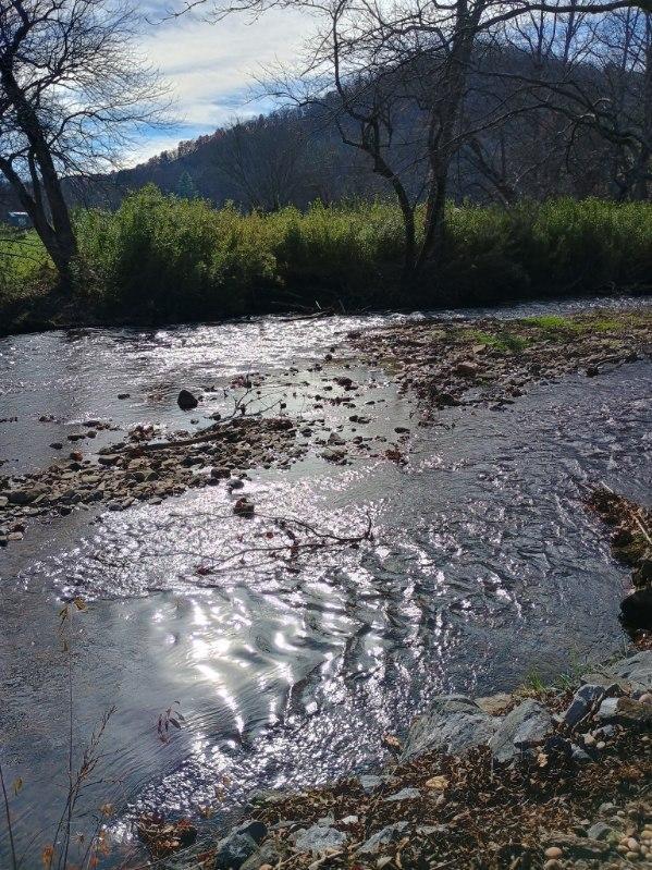 4334 River Bank Run Property Photo 69