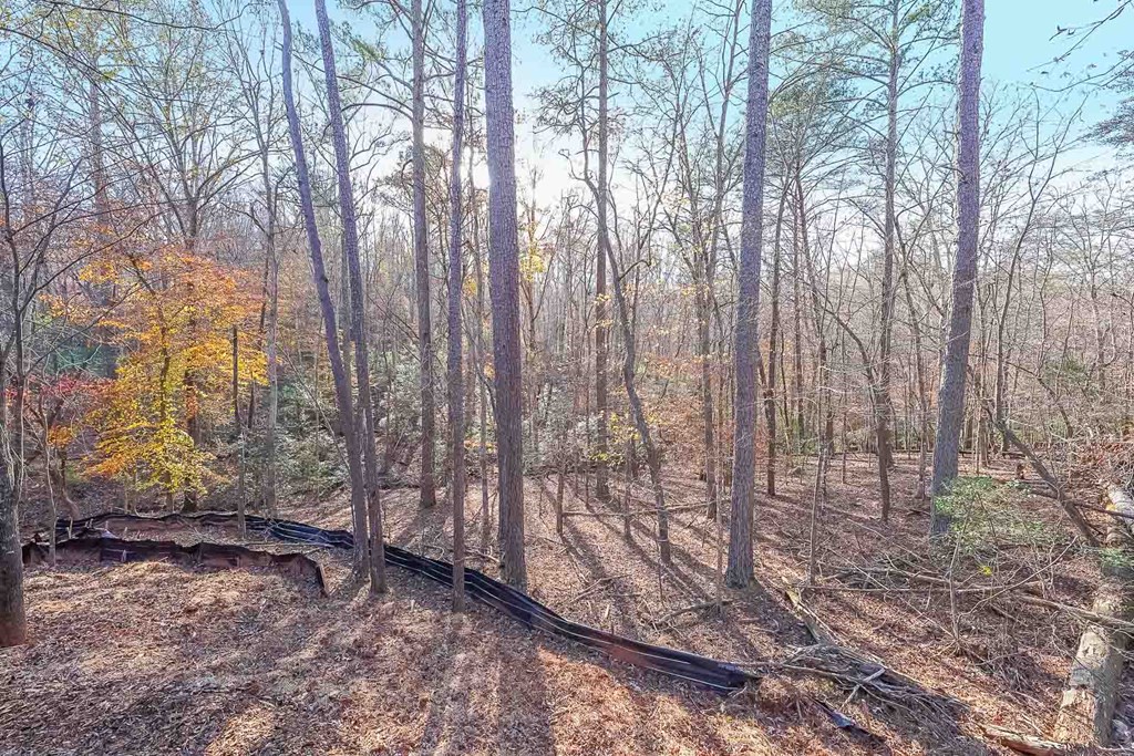 40 Cadet Court Property Photo 29