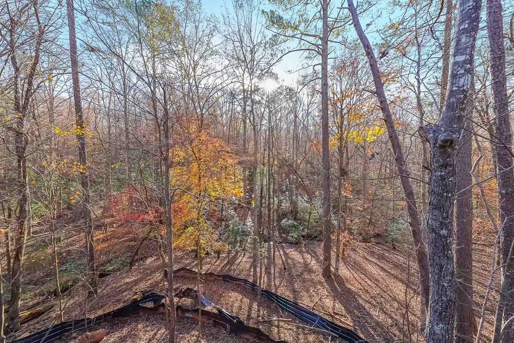 40 Cadet Court Property Photo 32