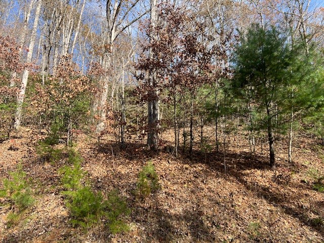 Lot 19 The Highlands Property Photo 7