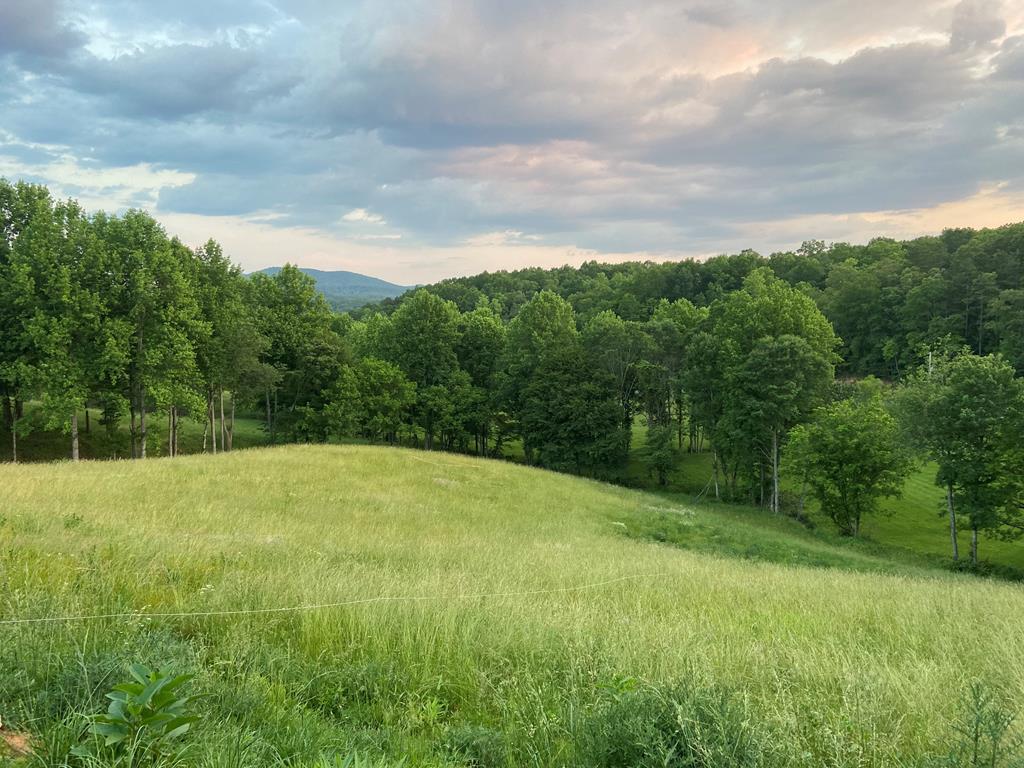 Lot 22 Lower Ridge Trail Property Photo