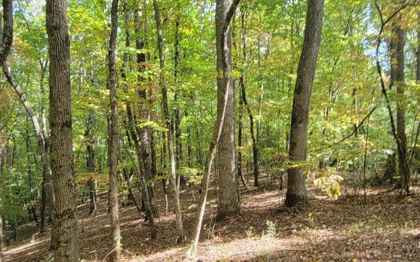 31-A&B Mountain View Lane Property Photo 1