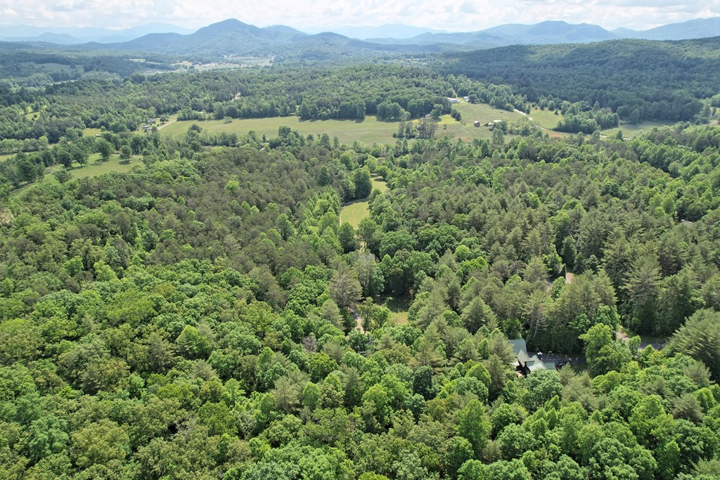 2685 Messer Road Property Photo 68