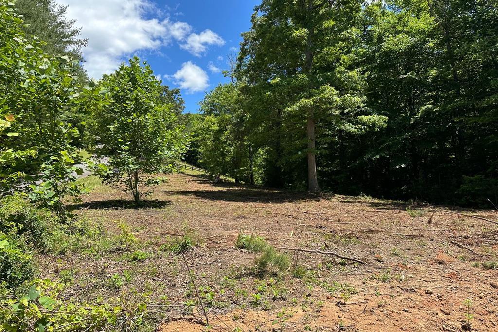 Lot 8 Moore Acres Property Photo 1