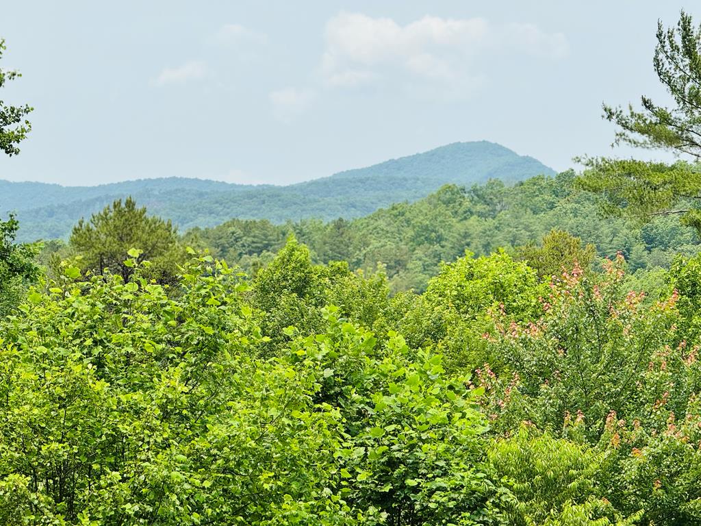 220 Mountain High Drive Property Photo 1