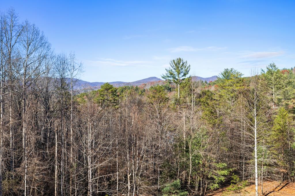 220 Mountain High Drive Property Photo 12