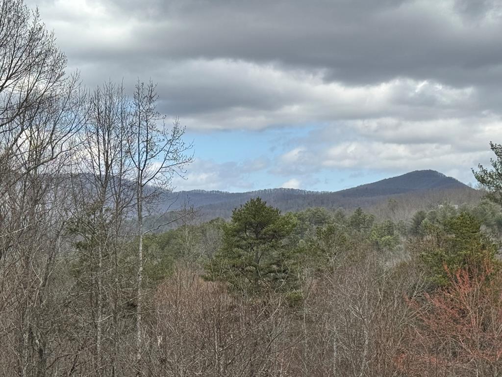 220 Mountain High Drive Property Photo 55