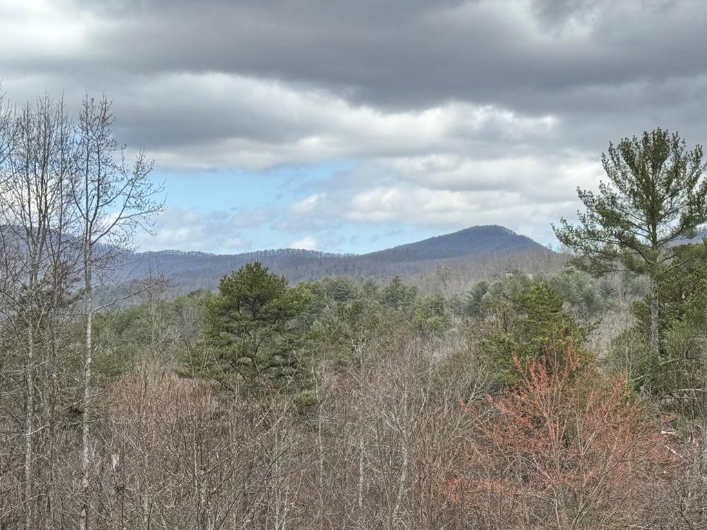 220 Mountain High Drive Property Photo 56
