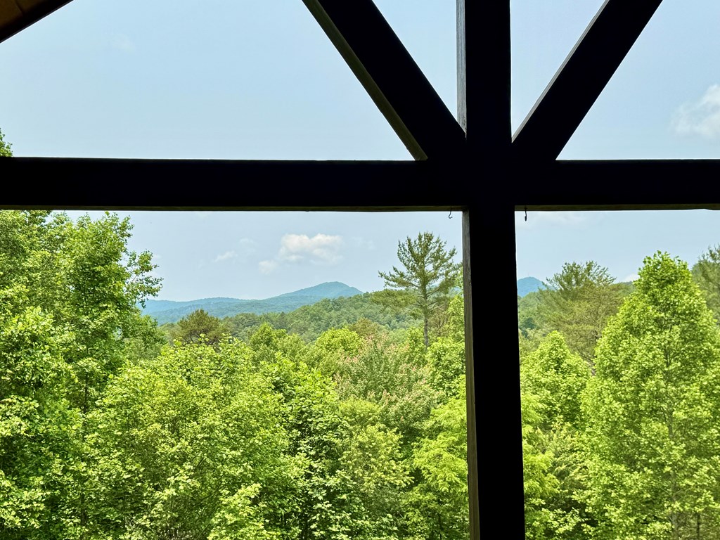 220 Mountain High Drive Property Photo 57
