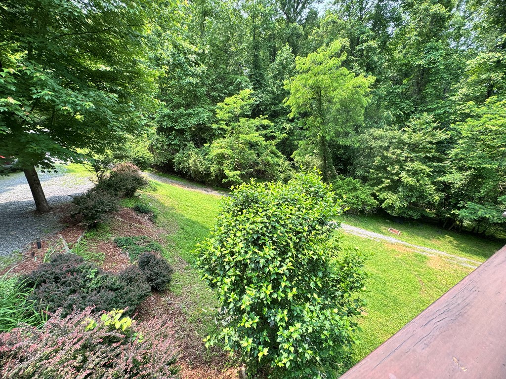 220 Mountain High Drive Property Photo 58