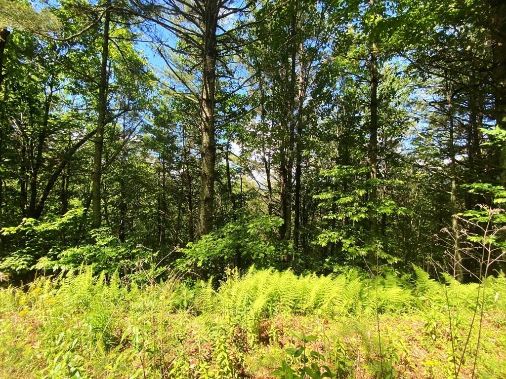 Lot 97 Choctaw Ridge Trail Property Photo